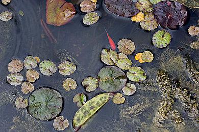 《侏罗纪公园》系列多个游戏改编项目正在制作之中